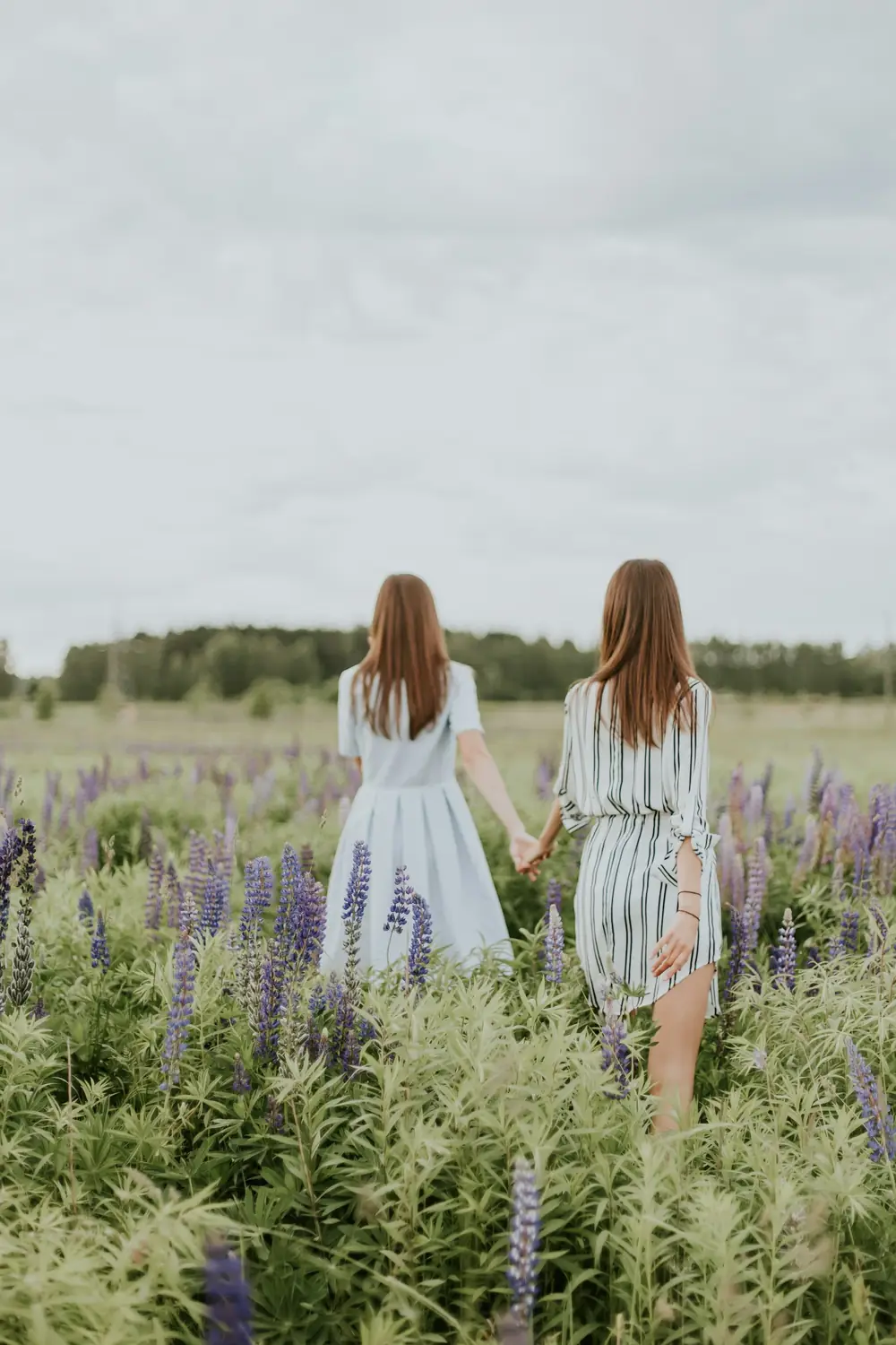 Dos mujeres de espaldas, tomadas de la mano, caminando entre flores de lavanda
